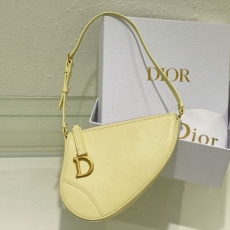 Christian Dior Saddle Bags